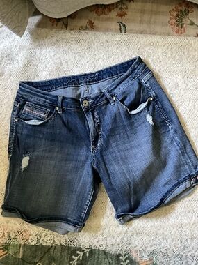 Jag Jeans Women's Relaxed Fit Denim Shorts Size 12/31